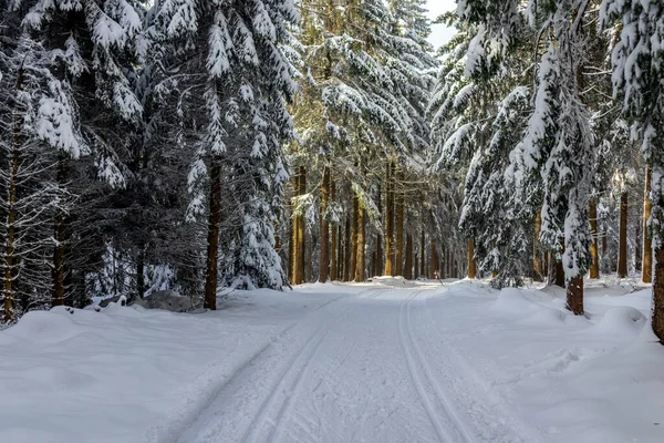 Outro Passeio Inverno Longo Rennsteig Mais Bela Winterwunderland Alemanha — Fotografia de Stock