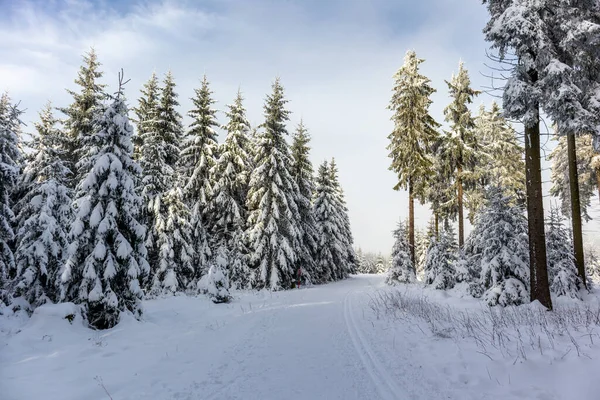 Outro Passeio Inverno Longo Rennsteig Mais Bela Winterwunderland Alemanha — Fotografia de Stock