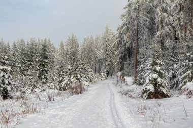Rennsteig boyunca Almanya 'nın en güzel Kış Diyarı' nda bir kış yürüyüşü daha.