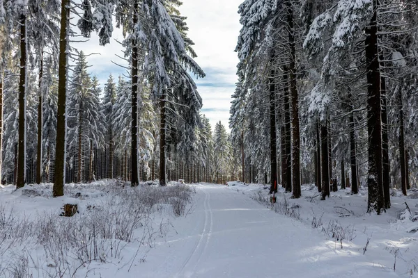 Újabb Téli Séta Rennsteigen Legszebb Winterwunderlandben Németország — Stock Fotó