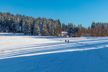 Rennsteig boyunca Almanya 'nın en güzel Kış Diyarı' nda bir kış yürüyüşü daha.