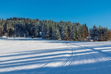 Rennsteig boyunca Almanya 'nın en güzel Kış Diyarı' nda bir kış yürüyüşü daha.
