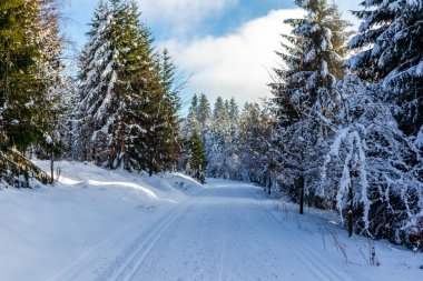 Rennsteig boyunca Almanya 'nın en güzel Kış Diyarı' nda bir kış yürüyüşü daha.