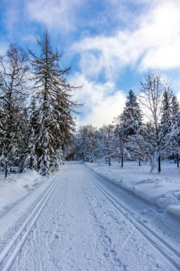 Rennsteig boyunca Almanya 'nın en güzel Kış Diyarı' nda bir kış yürüyüşü daha.