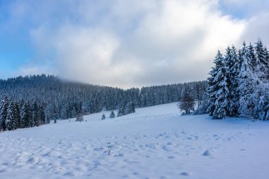 Rennsteig boyunca Almanya 'nın en güzel Kış Diyarı' nda bir kış yürüyüşü daha.