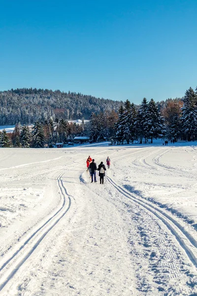 Újabb Téli Séta Rennsteigen Legszebb Winterwunderlandben Németország — Stock Fotó