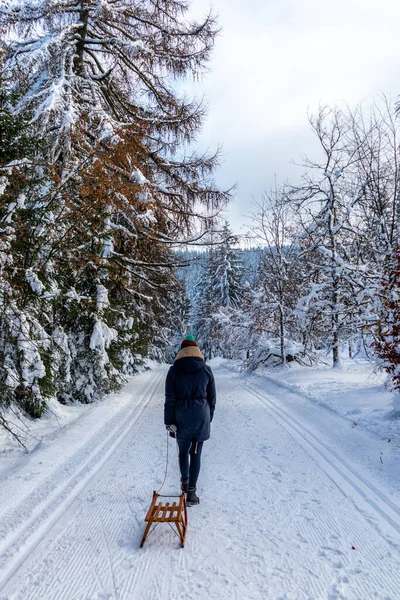 Ännu Vinterpromenad Längs Rennsteig Det Vackraste Vinterlandskapet Tyskland — Stockfoto