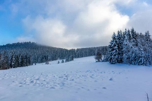 Altra Passeggiata Invernale Lungo Rennsteig Nella Più Bella Winterwunderland Germania — Foto Stock