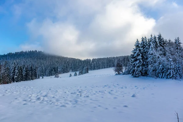 Újabb Téli Séta Rennsteigen Legszebb Winterwunderlandben Németország — Stock Fotó