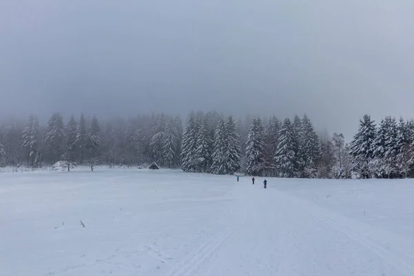 Eine Weitere Winterwanderung Entlang Des Rennsteigs Schönsten Winterwunderland Deutschlands — Stockfoto