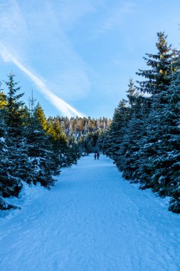Kırık-Saksonya-Anhalt 'daki güzel Harz dağları boyunca uzanan bu güzel kış manzarasında