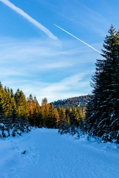 Úton Gyönyörű Téli Táj Gyönyörű Harz Hegyek Brocken Szász Anhalt — Stock Fotó