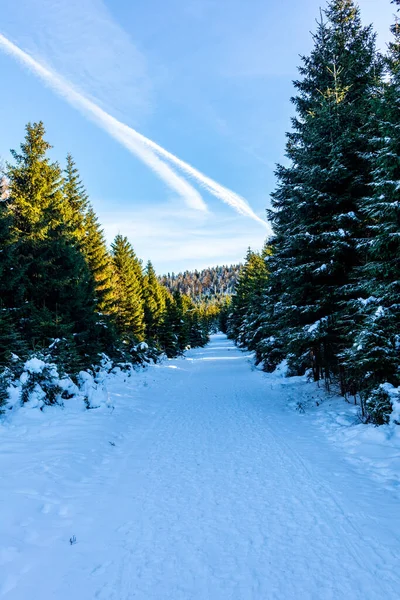 Úton Gyönyörű Téli Táj Gyönyörű Harz Hegyek Brocken Szász Anhalt — Stock Fotó