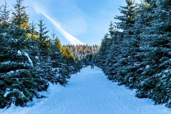 Estrada Bela Paisagem Inverno Através Das Belas Montanhas Harz Brocken — Fotografia de Stock