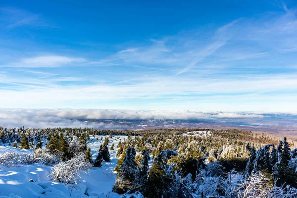 Road Beautiful Winter Landscape Beautiful Harz Mountains Brocken Saxony Anhalt — Stock Photo, Image