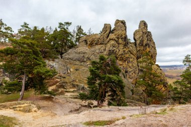 Teufelsmauer boyunca soğuk bir kış gününde güzel Harz Dağları 'nı keşfetmek Saksonya-Anhalt