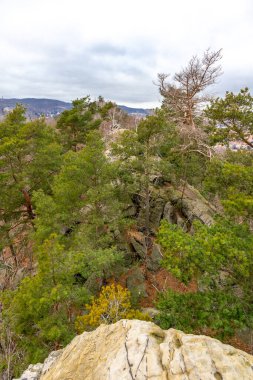 Teufelsmauer boyunca soğuk bir kış gününde güzel Harz Dağları 'nı keşfetmek Saksonya-Anhalt