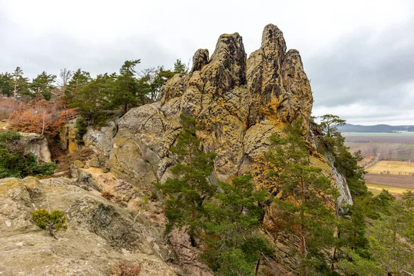 Explorando Las Hermosas Montañas Harz Frío Día Invierno Largo Del — Foto de Stock