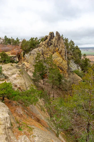 Εξερευνώντας Όμορφα Βουνά Harz Μια Κρύα Ημέρα Του Χειμώνα Κατά — Φωτογραφία Αρχείου