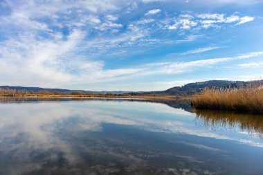 Breitungen Gölü 'nde bahar yürüyüşü muhteşem güneş ışığı altında - Thüringen - Almanya