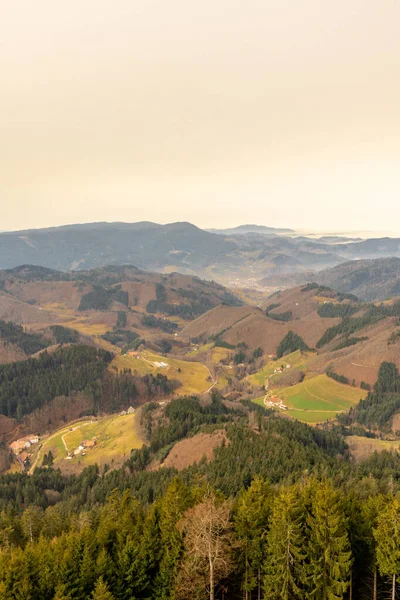 Exploration Belle Forêt Noire Près Oppenau Baden Wrttemberg Allemagne — Photo