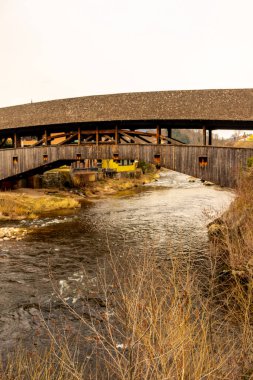 Forbach yakınlarındaki güzel Kara Orman 'ı keşfetmek - Baden-Wrttemberg - Almanya