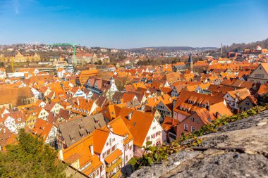 Baden-Wrttemberg, Almanya 'nın Neckar kentindeki Tbingen Üniversitesi' nde bahar keşfi turu