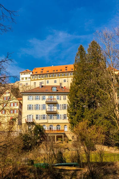 Tour Descubrimiento Primavera Por Ciudad Universitaria Tbingen Neckar Baden Wrttemberg —  Fotos de Stock