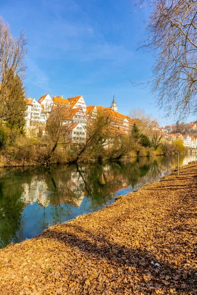 Ontdekkingstocht Het Voorjaar Door Universiteitsstad Tbingen Aan Neckar Baden Wrttemberg — Stockfoto