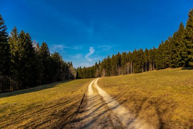Baden-Wuerttemberg-Almanya 'nın muhteşem Hohenzollern Şatosu' nun etrafında bahar keşfi turu