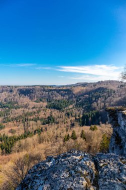 Baden-Wuerttemberg-Almanya 'nın muhteşem Hohenzollern Şatosu' nun etrafında bahar keşfi turu