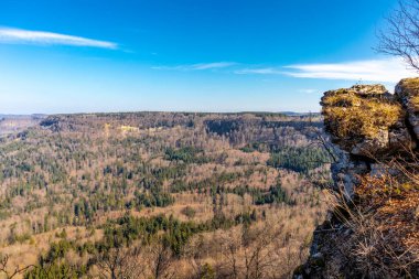 Baden-Wuerttemberg-Almanya 'nın muhteşem Hohenzollern Şatosu' nun etrafında bahar keşfi turu
