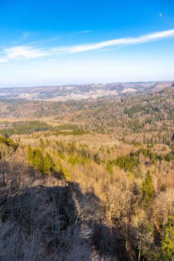 Baden-Wuerttemberg-Almanya 'nın muhteşem Hohenzollern Şatosu' nun etrafında bahar keşfi turu