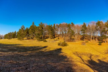 Baden-Wuerttemberg-Almanya 'nın muhteşem Hohenzollern Şatosu' nun etrafında bahar keşfi turu