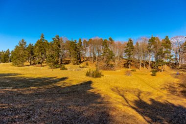 Baden-Wuerttemberg-Almanya 'nın muhteşem Hohenzollern Şatosu' nun etrafında bahar keşfi turu