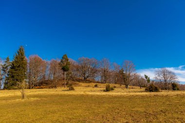 Baden-Wuerttemberg-Almanya 'nın muhteşem Hohenzollern Şatosu' nun etrafında bahar keşfi turu