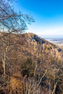 Baden-Wuerttemberg-Almanya 'nın muhteşem Hohenzollern Şatosu' nun etrafında bahar keşfi turu