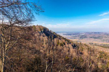 Baden-Wuerttemberg-Almanya 'nın muhteşem Hohenzollern Şatosu' nun etrafında bahar keşfi turu