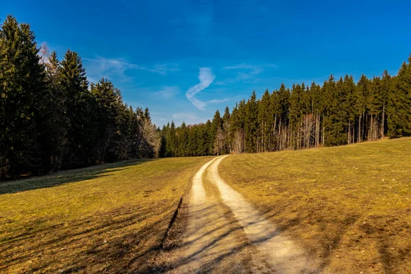 Ontdekkingstocht Het Voorjaar Rond Het Prachtige Kasteel Hohenzollern Baden Wuerttemberg — Stockfoto