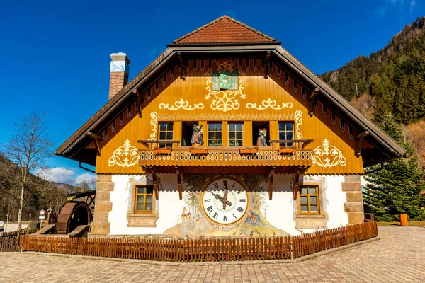 Discovery Tour Ravenna Gorge Breitnau Baden Wrttemberg Germany — Stock Photo, Image