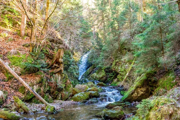 Tour Descubrimiento Por Garganta Rávena Cerca Breitnau Baden Wrttemberg Alemania — Foto de Stock