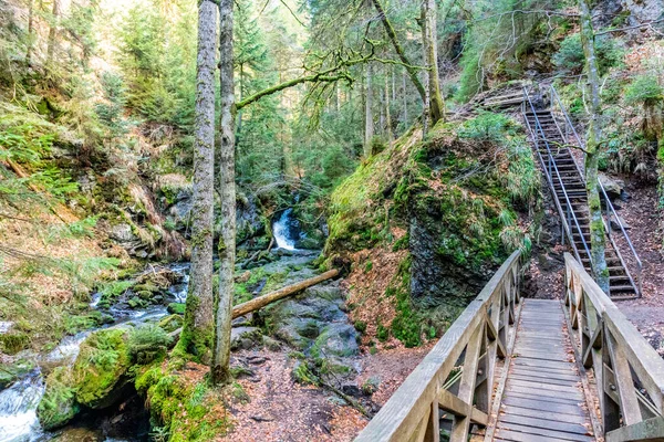 Discovery Tour Ravenna Gorge Breitnau Baden Wrttemberg Germany — Stock Photo, Image