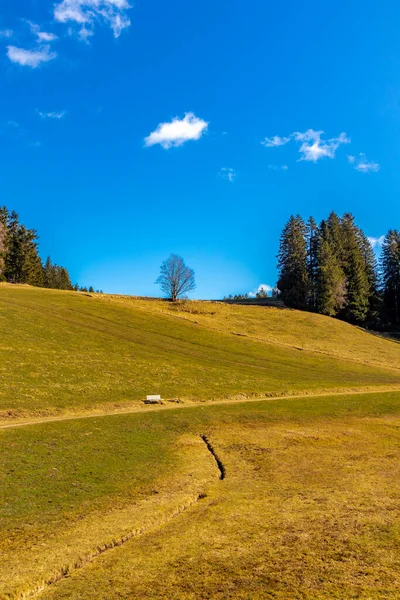 Breitnau yakınlarındaki Ravenna Boğazı 'nda Baden-Wrttemberg - Almanya