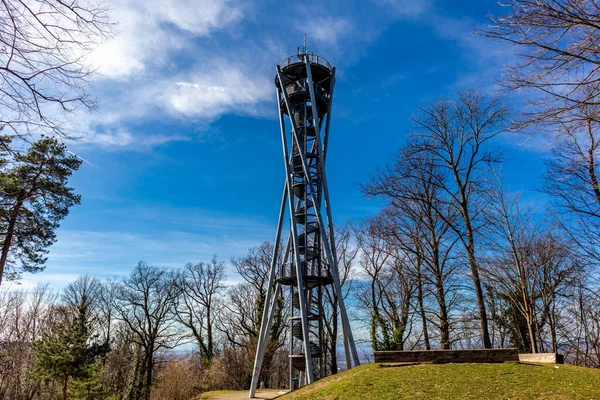 Promenera Genom Den Gamla Staden Freiburg Breisgau Baden Wuerttemberg Tyskland — Stockfoto