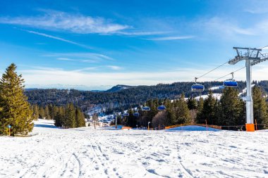 Feldberg 'in Kara Orman' daki keşif turu - Baden-Wrttemberg - Almanya