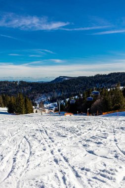 Feldberg 'in Kara Orman' daki keşif turu - Baden-Wrttemberg - Almanya