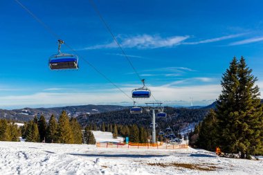 Feldberg 'in Kara Orman' daki keşif turu - Baden-Wrttemberg - Almanya