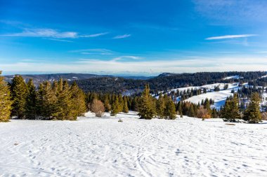 Feldberg 'in Kara Orman' daki keşif turu - Baden-Wrttemberg - Almanya