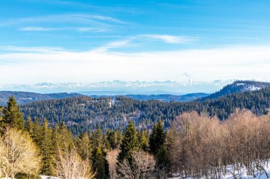 Feldberg 'in Kara Orman' daki keşif turu - Baden-Wrttemberg - Almanya