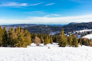 Feldberg 'in Kara Orman' daki keşif turu - Baden-Wrttemberg - Almanya